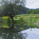 Damelj_3_Kolpa_D